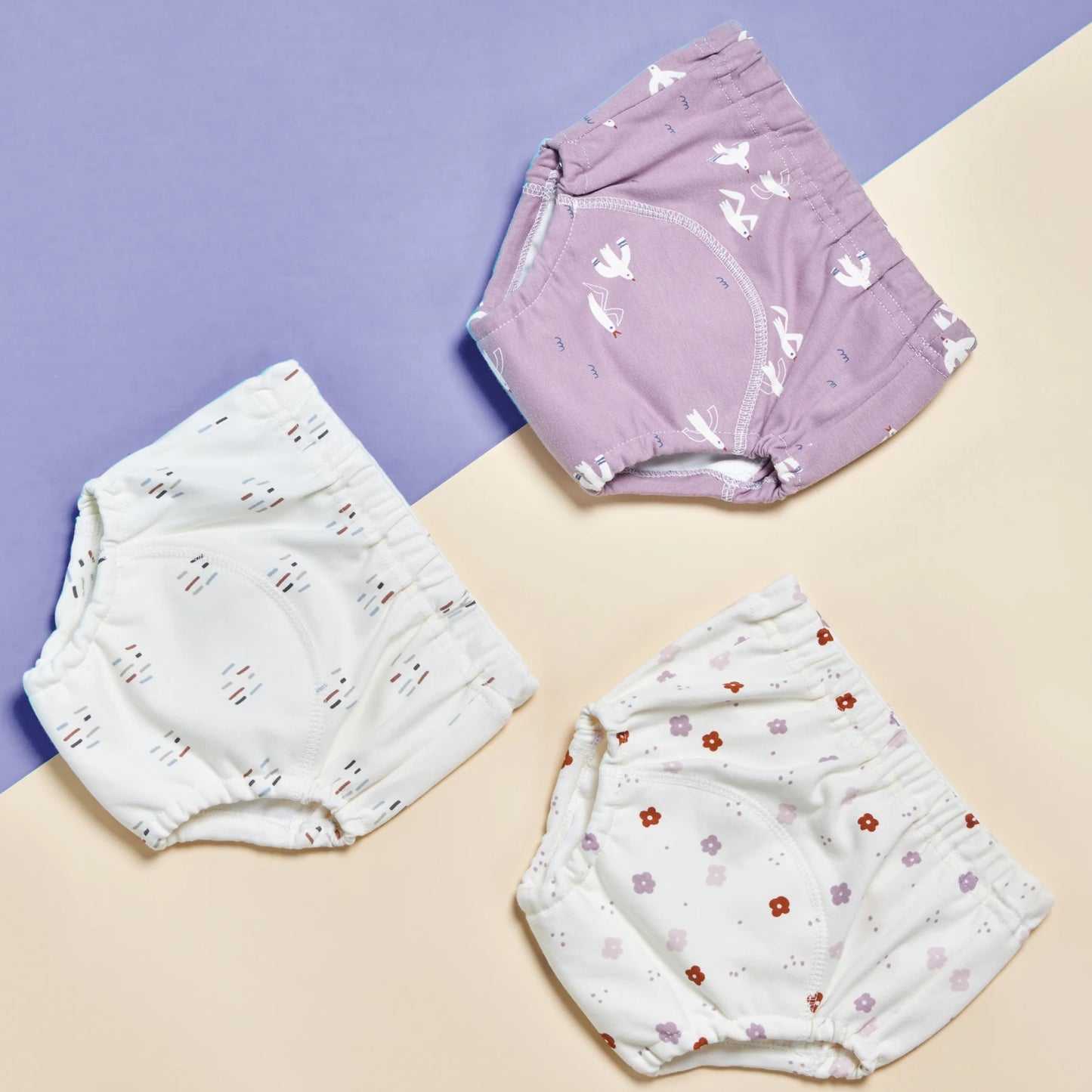 Potty Training Underwear