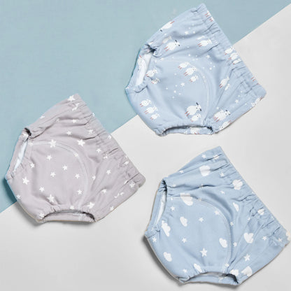 Potty Training Underwear
