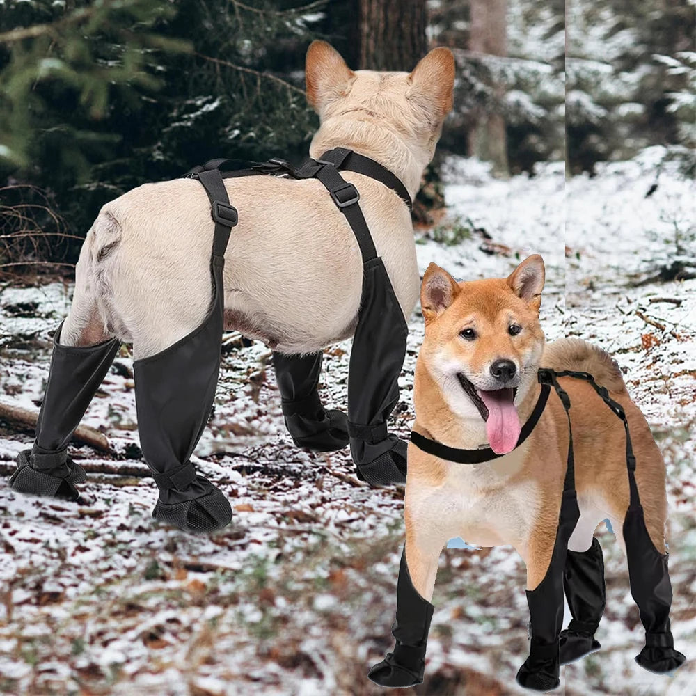 Dog Suspender Boots