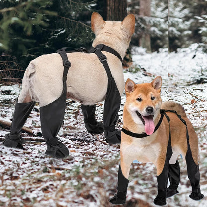 Dog Suspender Boots