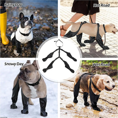 Dog Suspender Boots