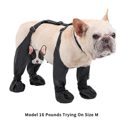 Dog Suspender Boots