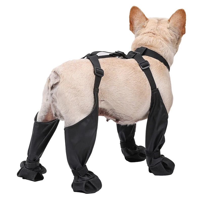 Dog Suspender Boots