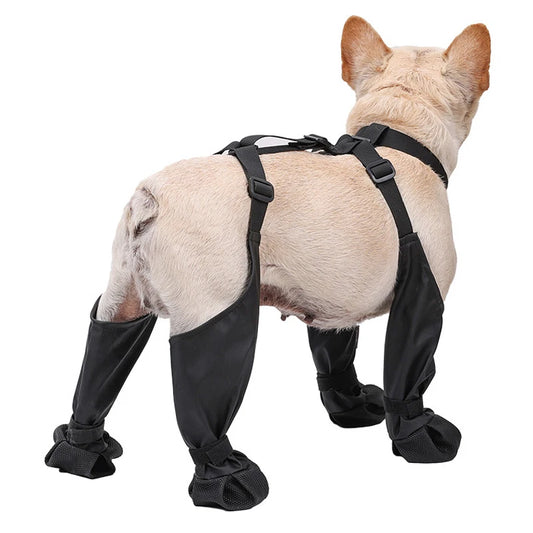 Dog Suspender Boots
